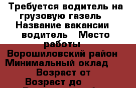 Требуется водитель на грузовую газель. › Название вакансии ­ водитель › Место работы ­ Ворошиловский район › Минимальный оклад ­ 25 000 › Возраст от ­ 30 › Возраст до ­ 45 - Ростовская обл., Ростов-на-Дону г. Работа » Вакансии   . Ростовская обл.,Ростов-на-Дону г.